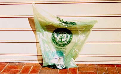 Cameron-Recycle Bag