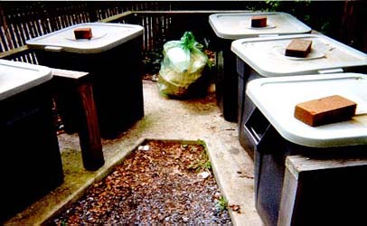 Cameron-Trash And Recycle Barrells