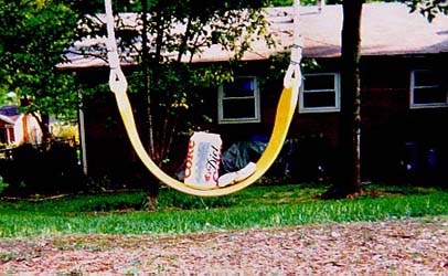 David-Recyclables On A Swing