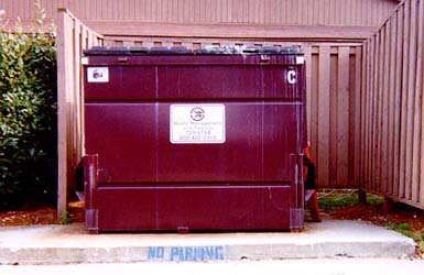 Matthew-Recycle Dumpster