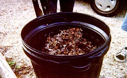 Sean-Composting Leaves In A Barrell